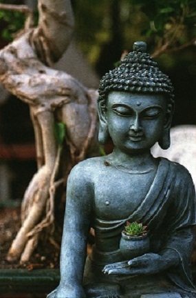 buddha-1281263_960_720